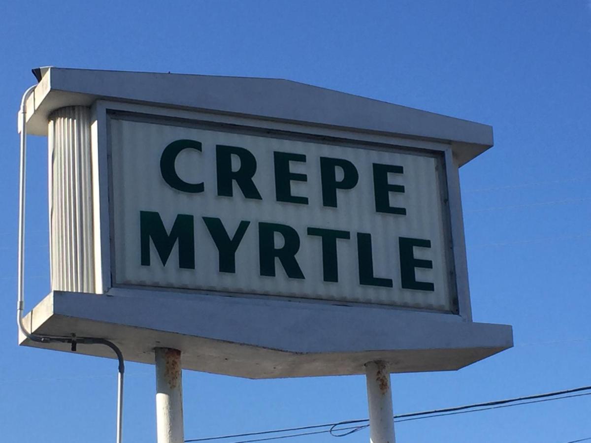 Crepe Myrtle Inn Myrtle Beach Kültér fotó